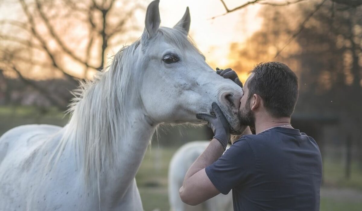 Tiertrauerfeier | Mann küsst sein Pferd