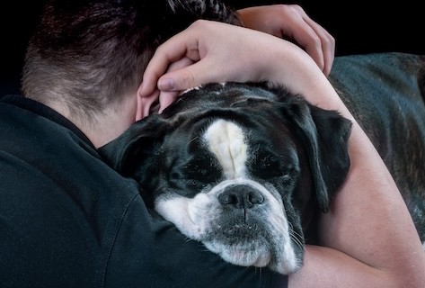 Tiertrauerfeier | Herrchen und Hund umarmen sich