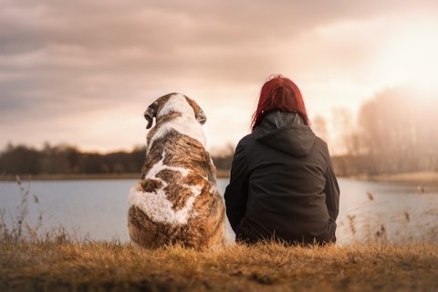 Tiertrauerfeier | Frau mit Hund sitzen am See