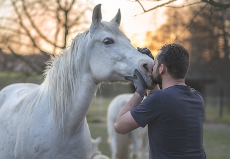 tiertrauerfeier mann mit pferd